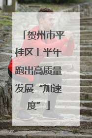 贺州市平桂区上半年跑出高质量发展“加速度”